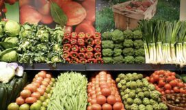 2011 9e9270b8bf7e99465c4c062adb7bf9e5